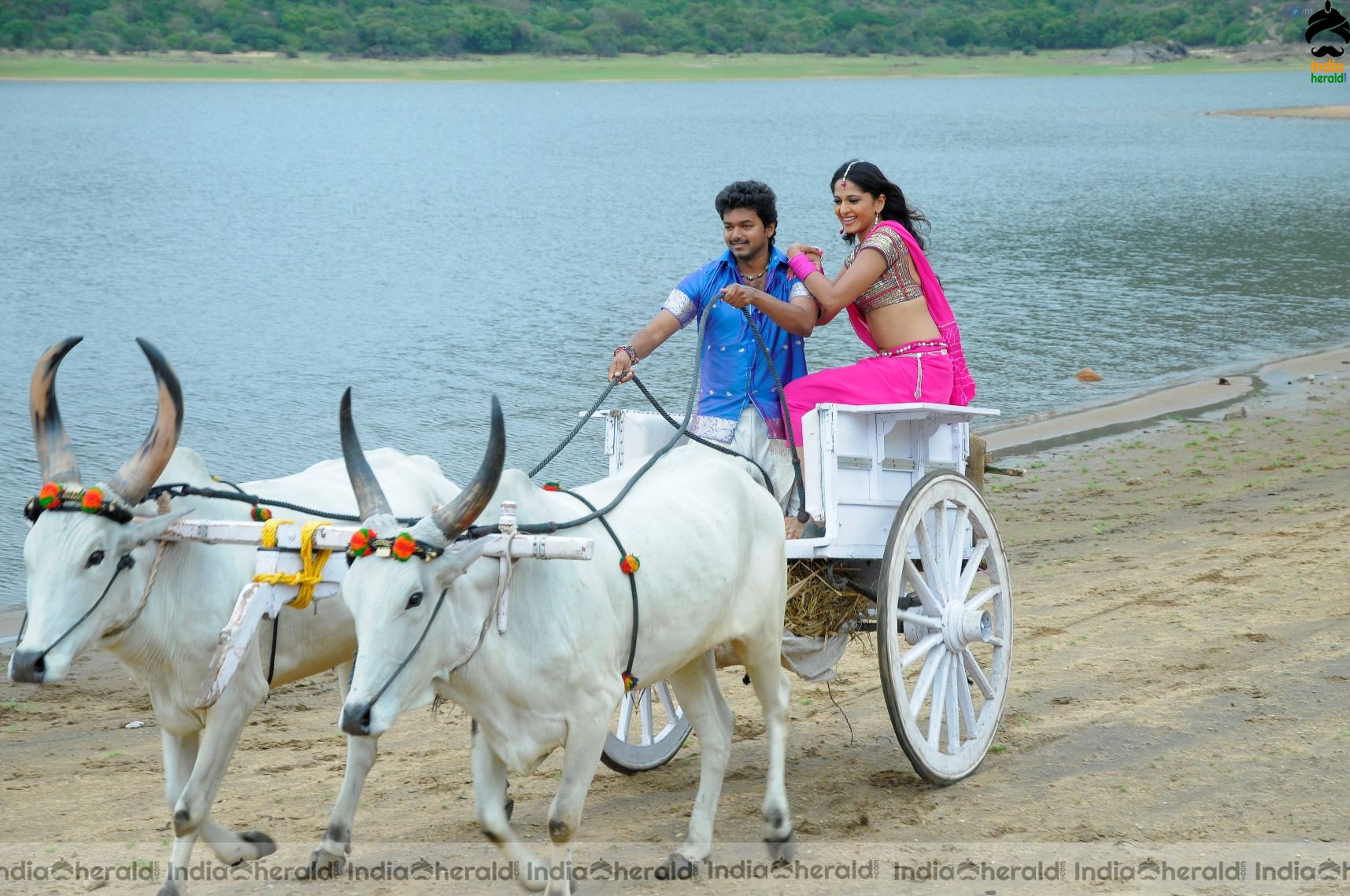 a sample image
