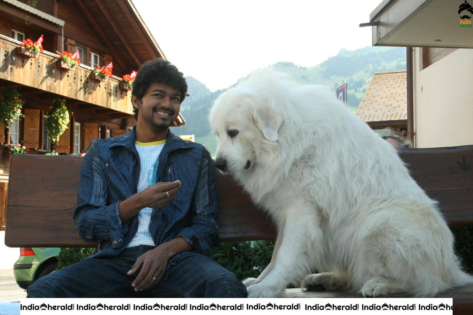 India Herald Exclusive Rare Photos and Posters of Vijay and Nayantara starrer Villu Set 3