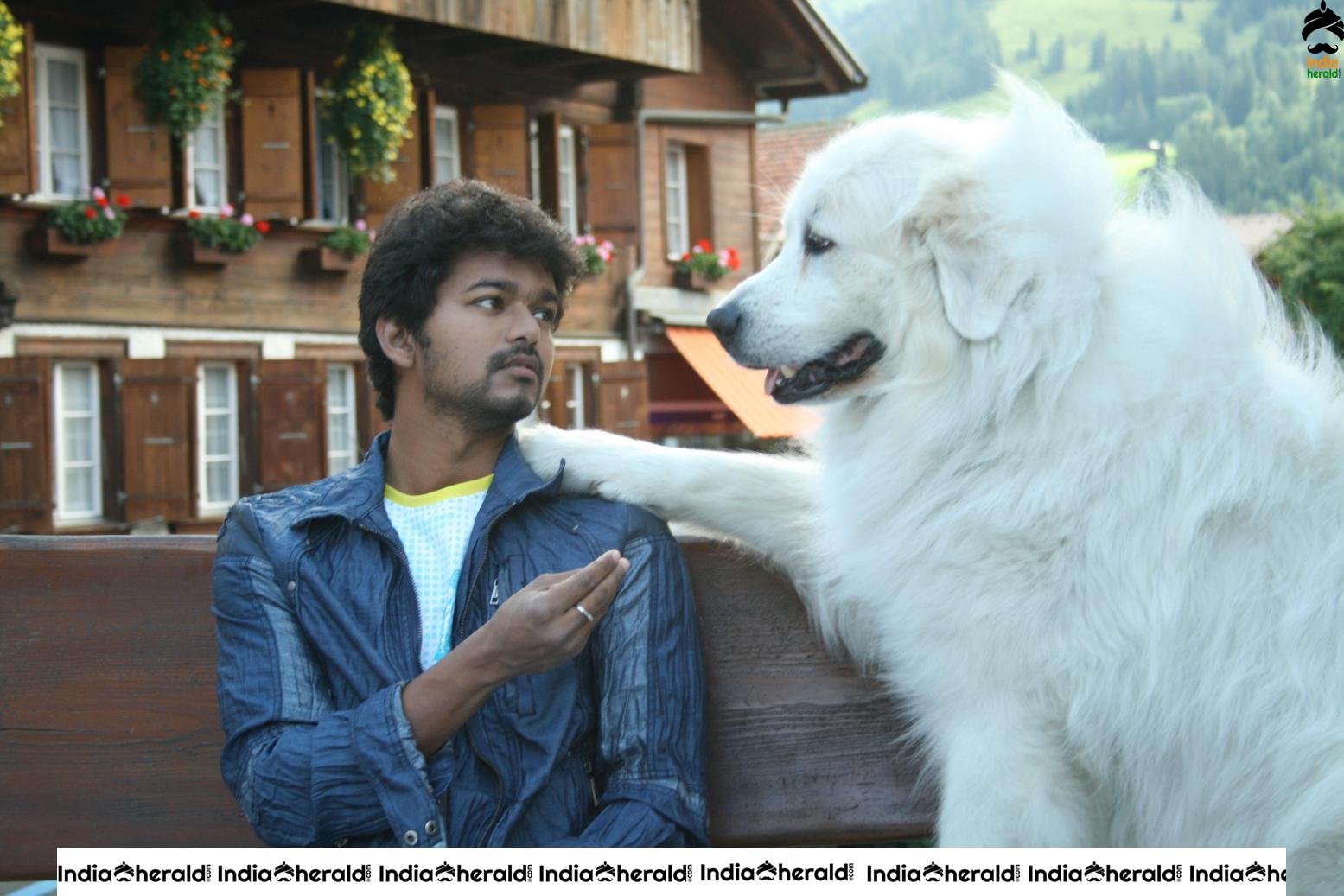 India Herald Exclusive Rare Photos and Posters of Vijay and Nayantara starrer Villu Set 3