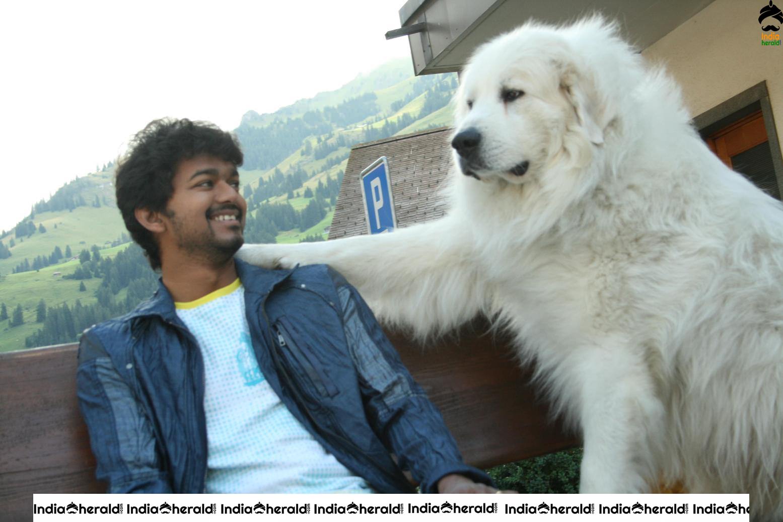 India Herald Exclusive Rare Photos and Posters of Vijay and Nayantara starrer Villu Set 3