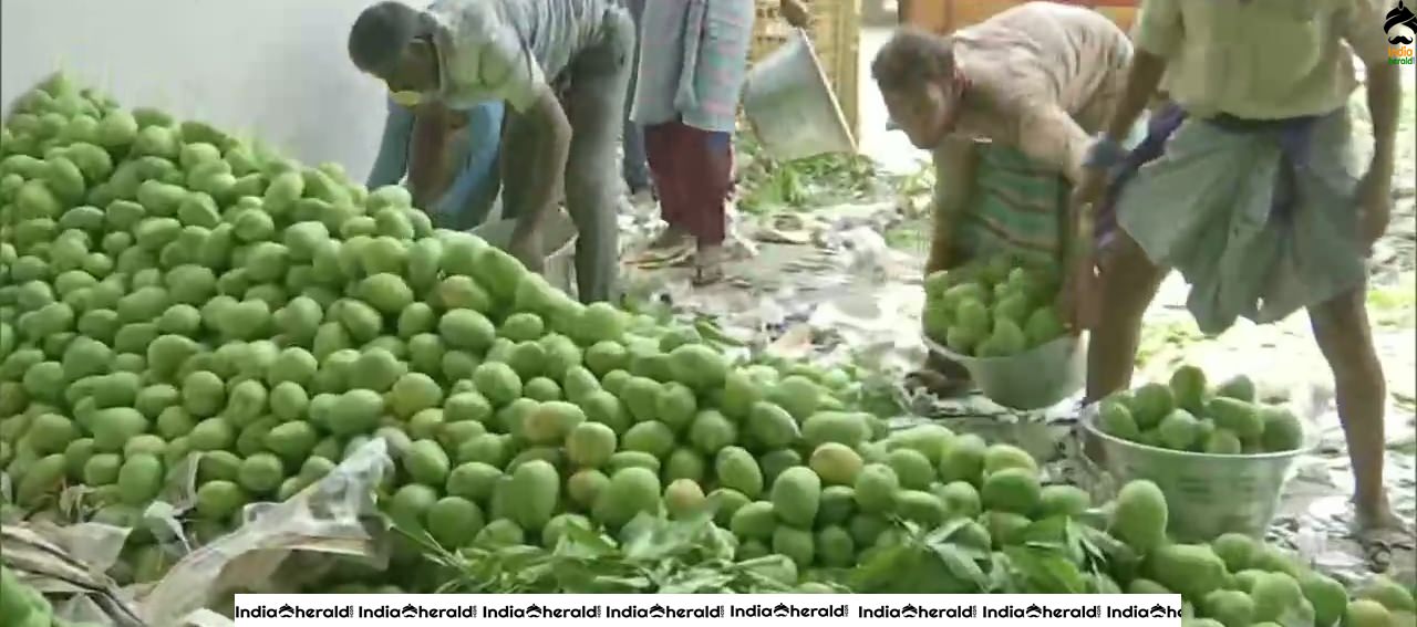 Mango traders in Hyderabad say their business is low due to COVID19