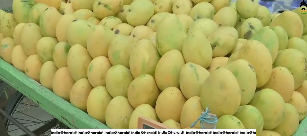 Mango traders in Hyderabad say their business is low due to COVID19