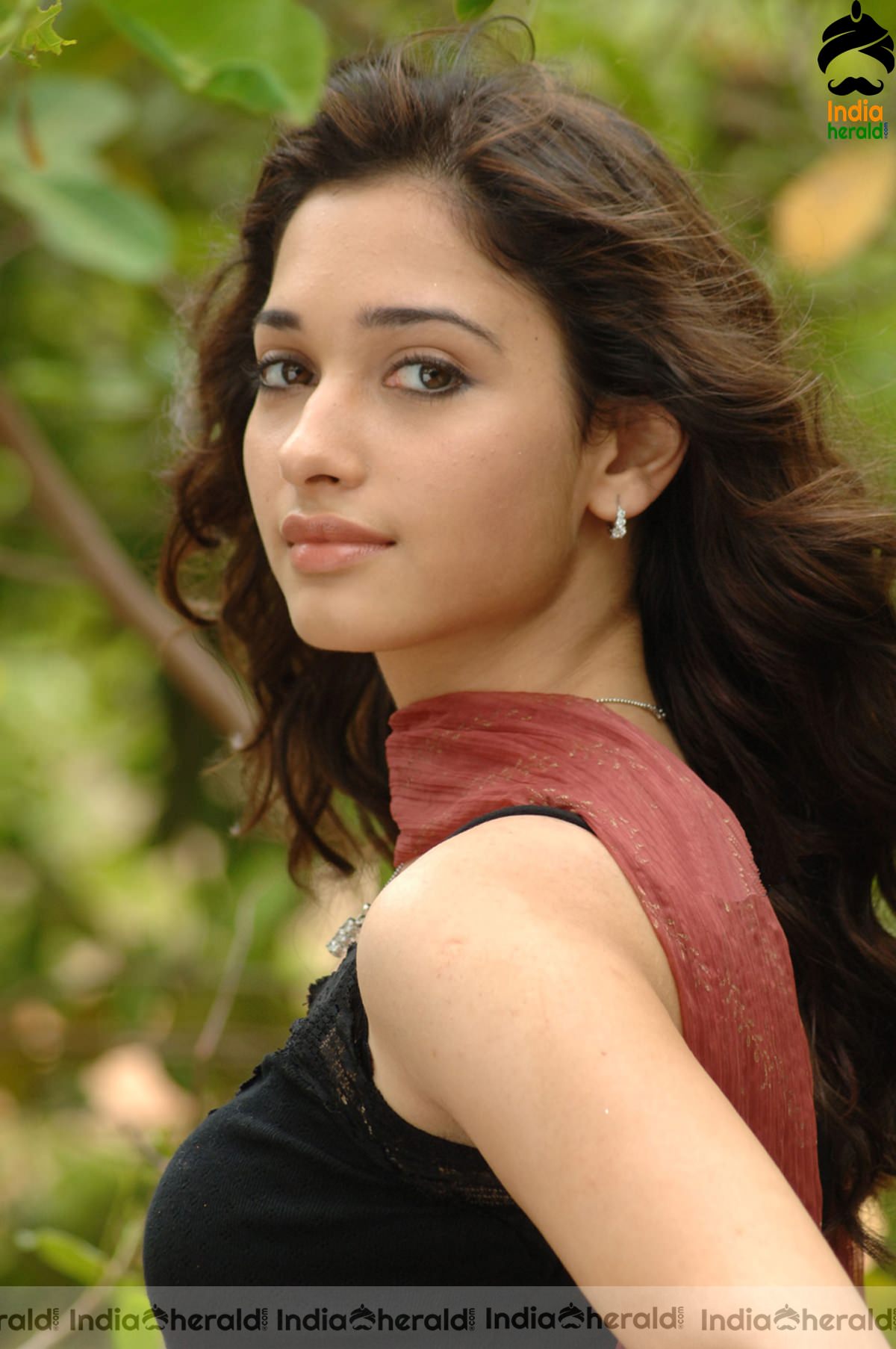 a sample image