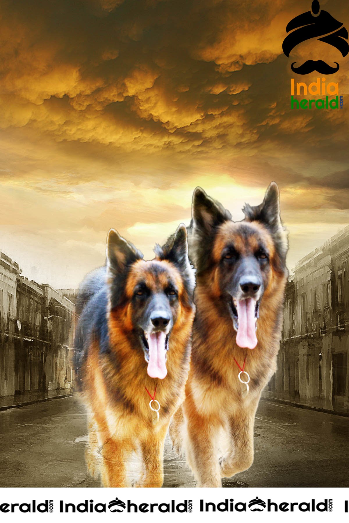 Namaste Nestama Movie Stills Set 1