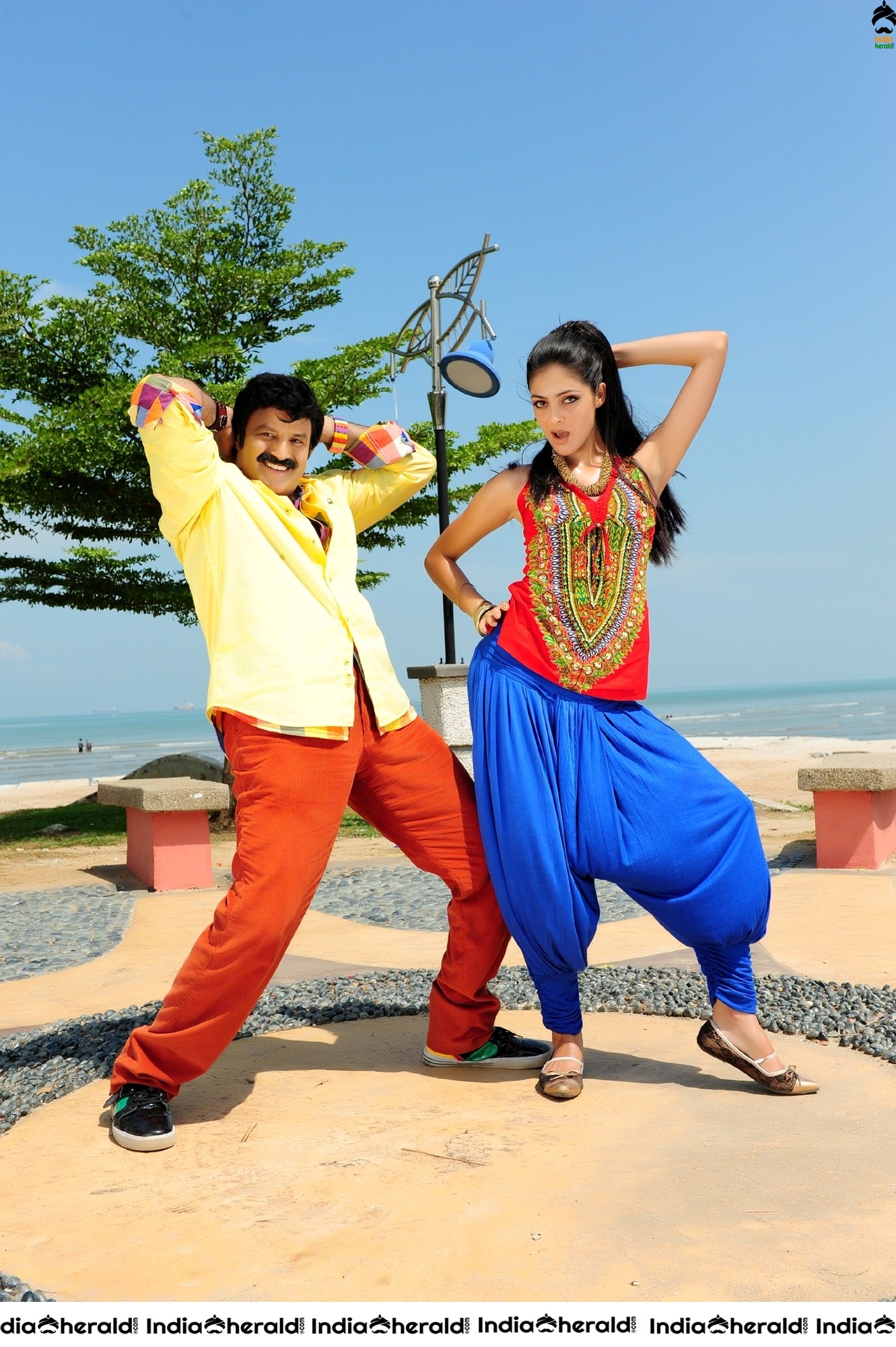 Nandamuri Balakrishna in Srimannarayana Movie Stills Set 1