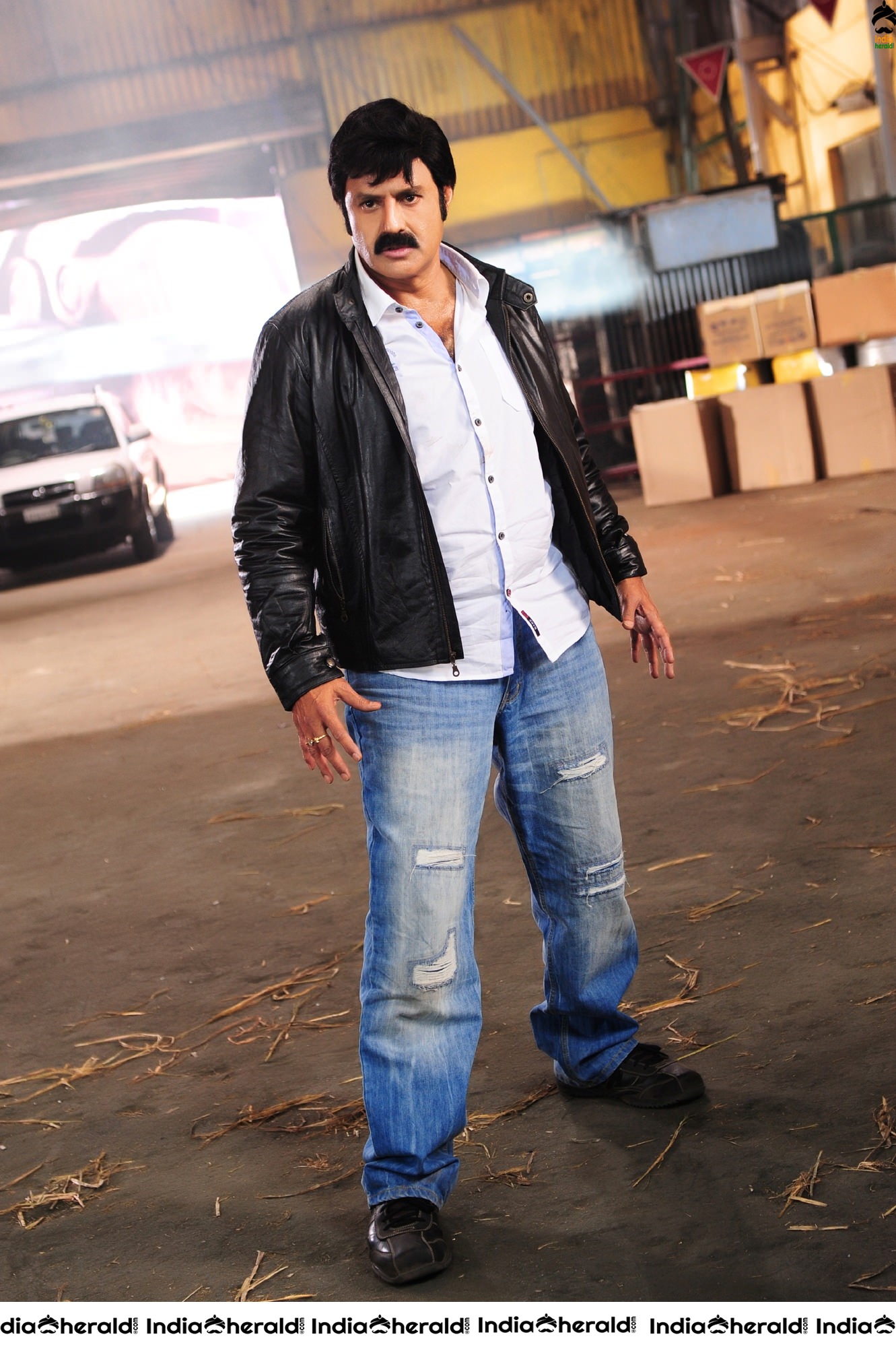 Nandamuri Balakrishna in Srimannarayana Movie Stills Set 1