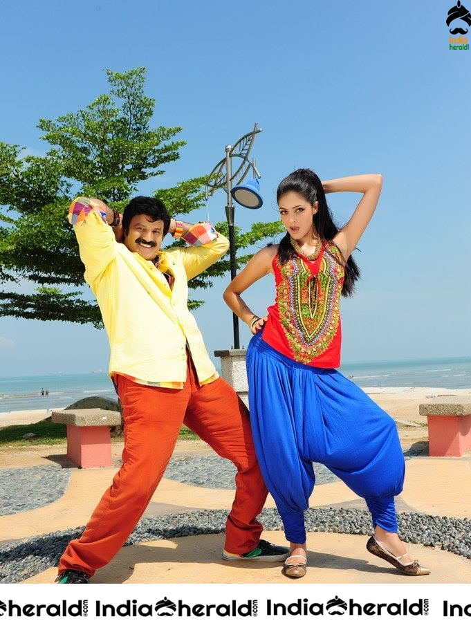 Nandamuri Balakrishna in Srimannarayana Movie Stills Set 2