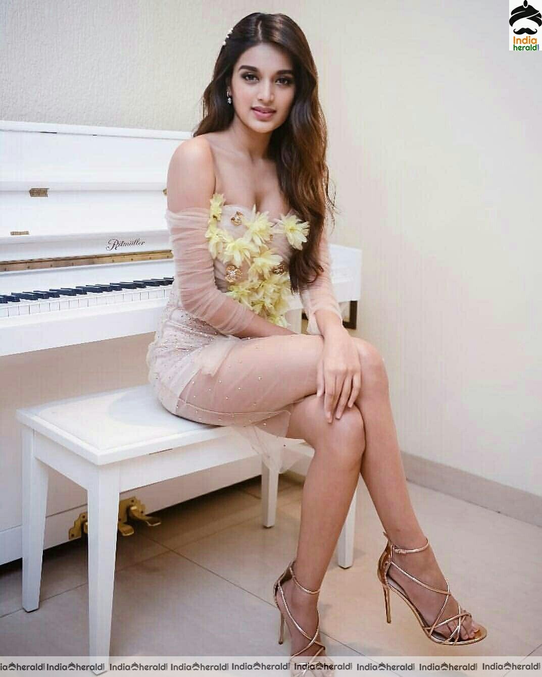 Niddhi Agerwal Hot Compilation Stills