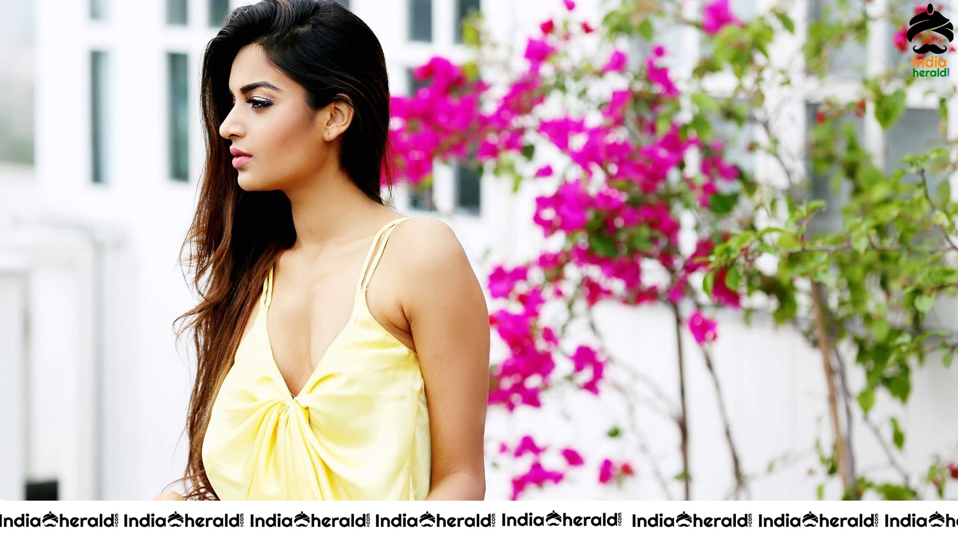 Nidhhi Agerwal Hot 1920 x 1080 HD Wallpapers