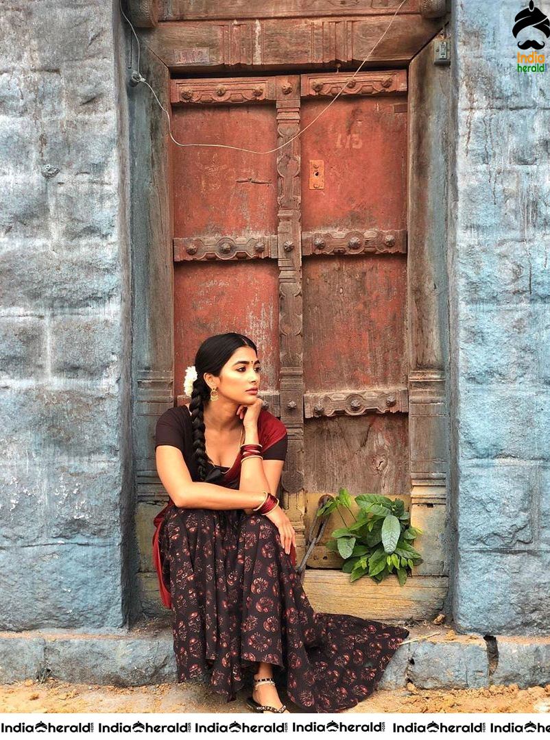 a sample image