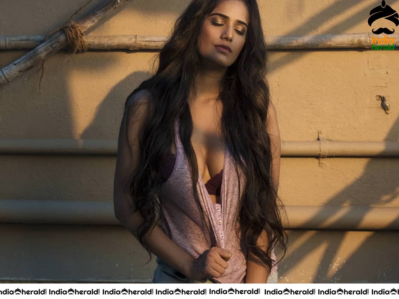 Poonam Pandey Hot And Sexy HD Wallpapers Set 2