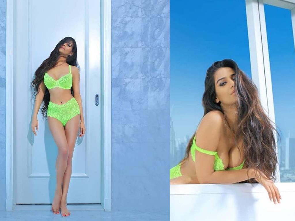 Poonam Pandey Hot And Sexy Wallpapers