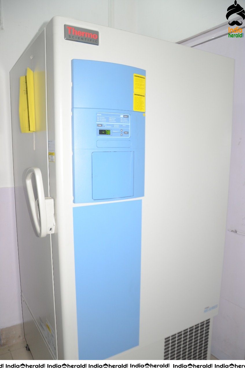 a sample image