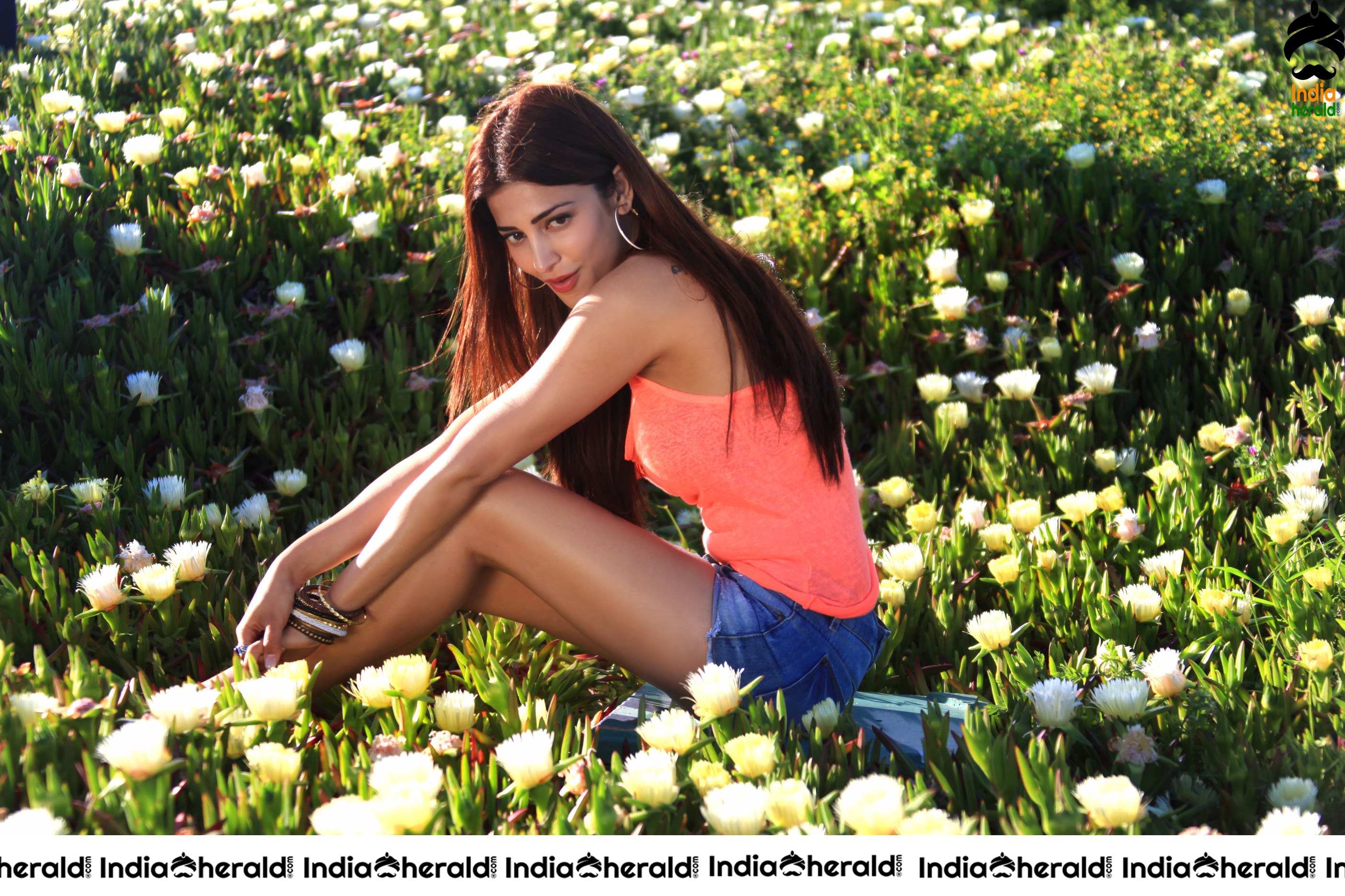 a sample image