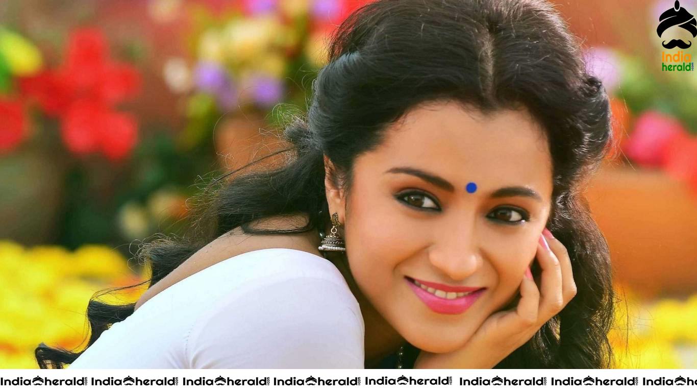Tempting Hot HD Wallpapers of Actress Trisha Krishnan Part 1