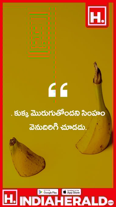 This is First Article From PubLite Gallery