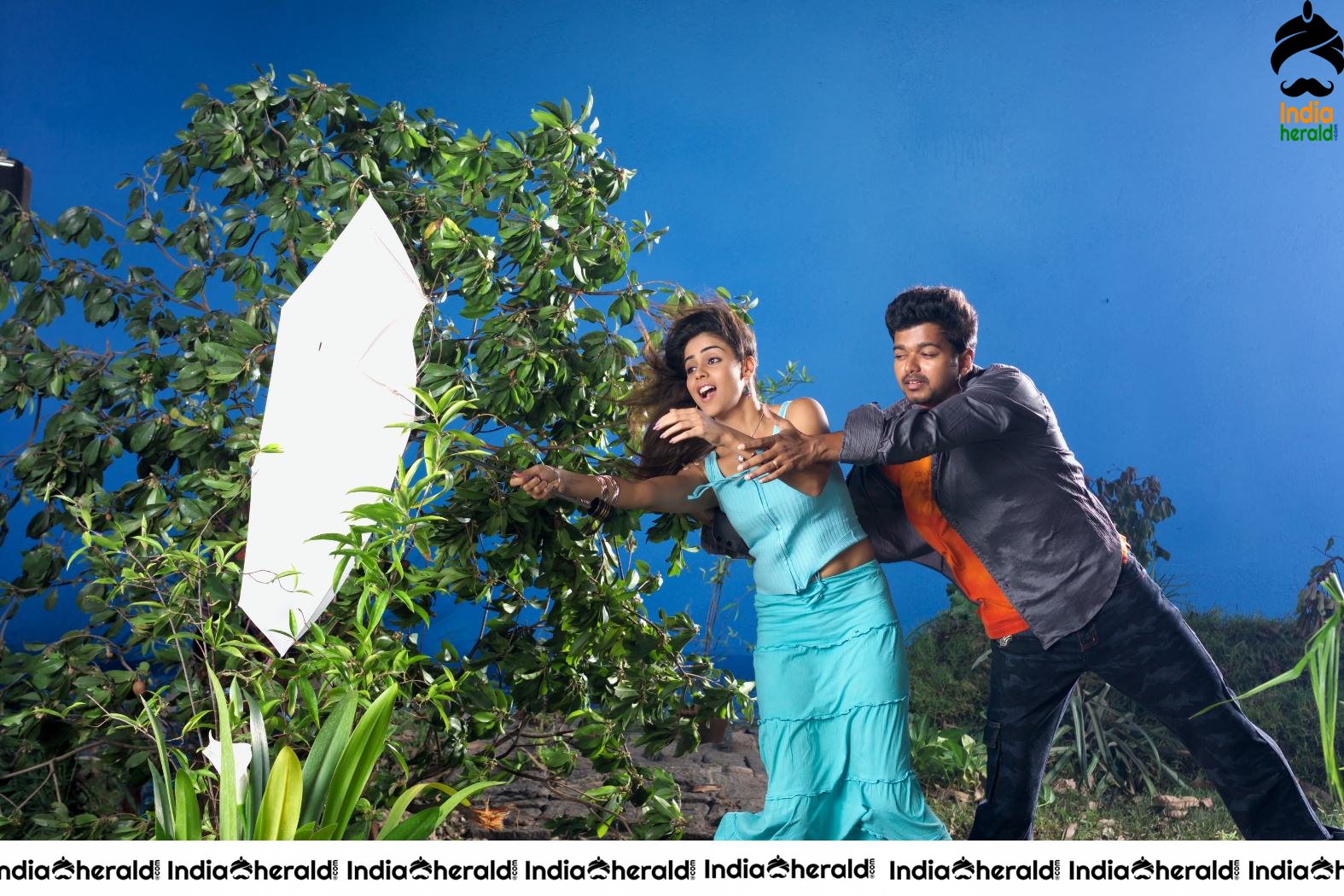 a sample image