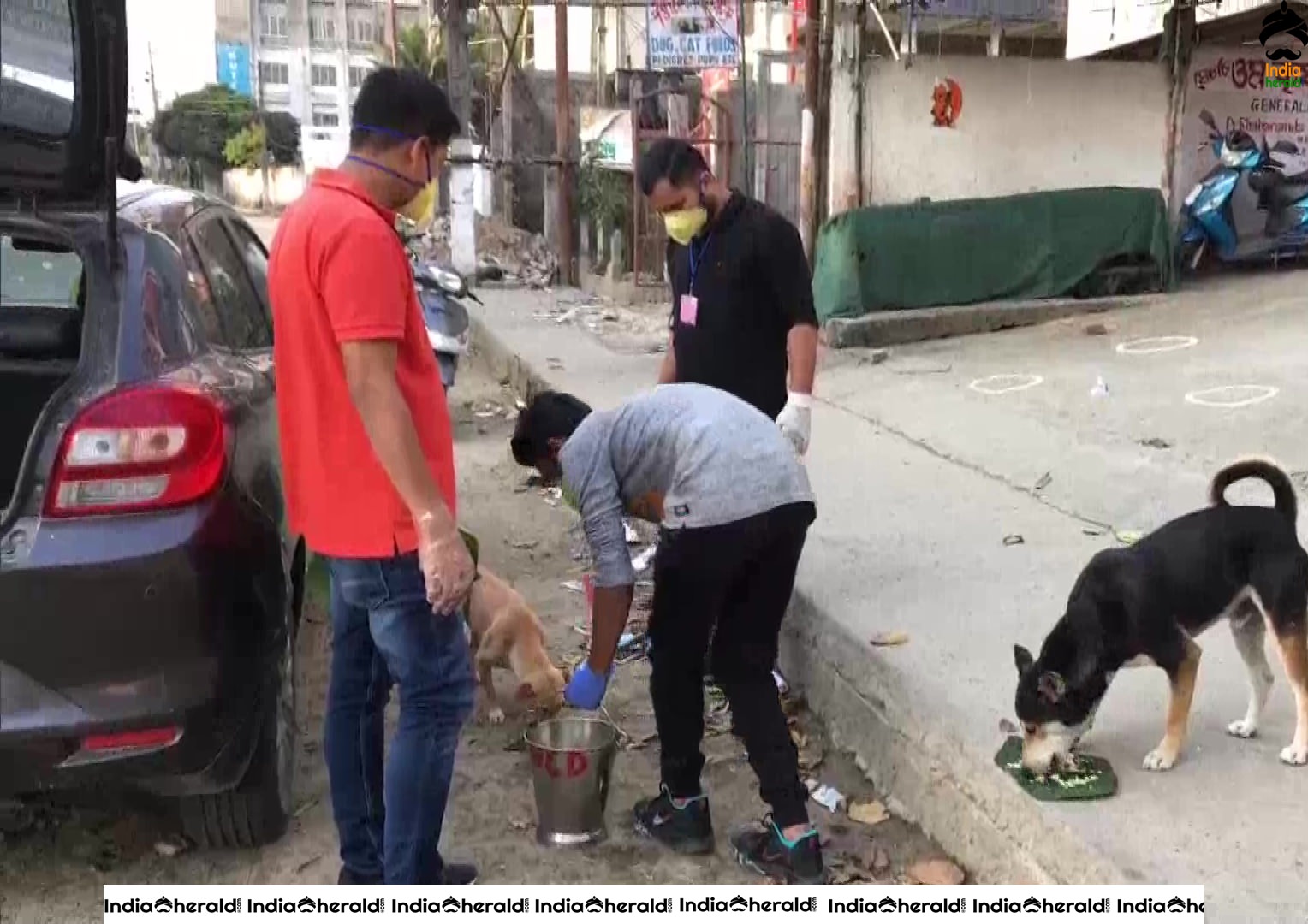 Volunteers of Animal Welfare People fed dogs in Dibrugarh amid Corona Virus Lockdown