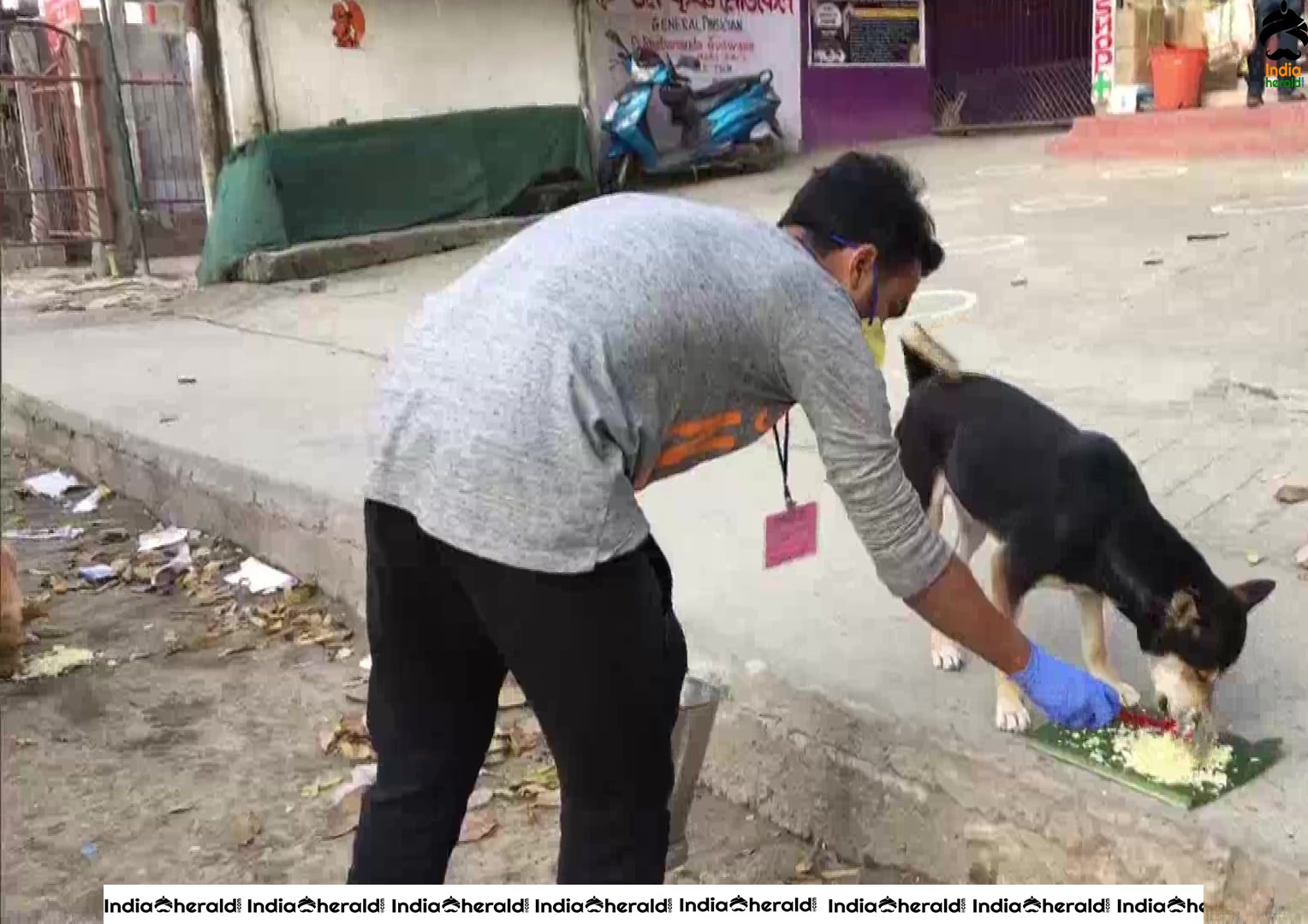 Volunteers of Animal Welfare People fed dogs in Dibrugarh amid Corona Virus Lockdown