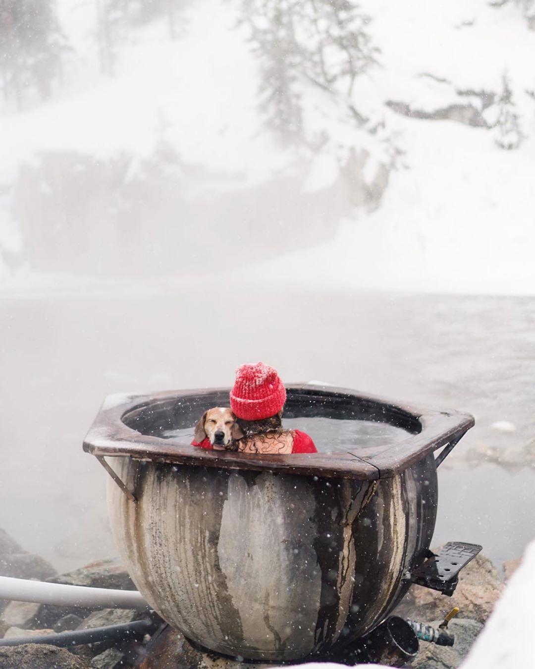 Ultimate Wanderpup Adventures Photos