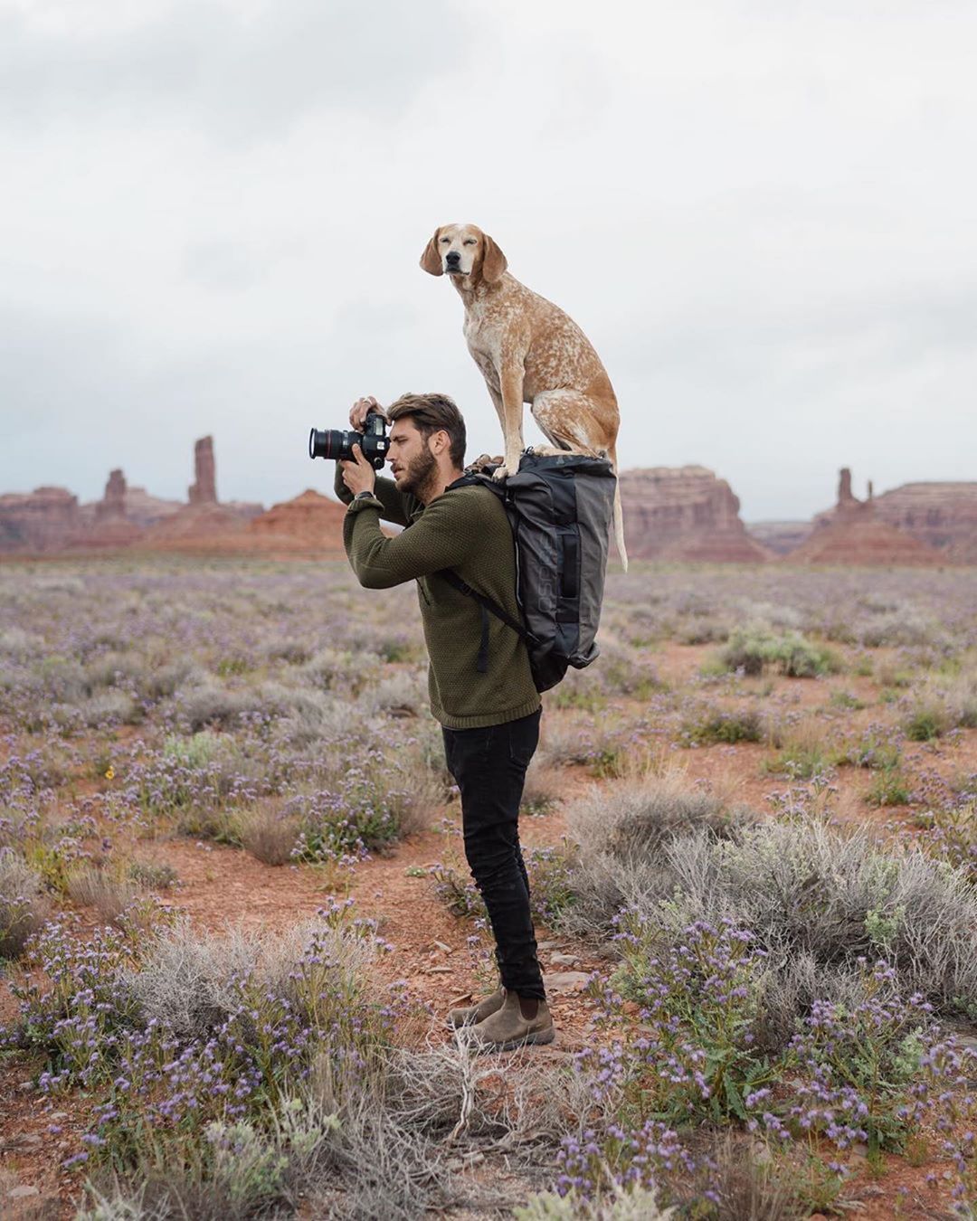 Ultimate Wanderpup Adventures Photos