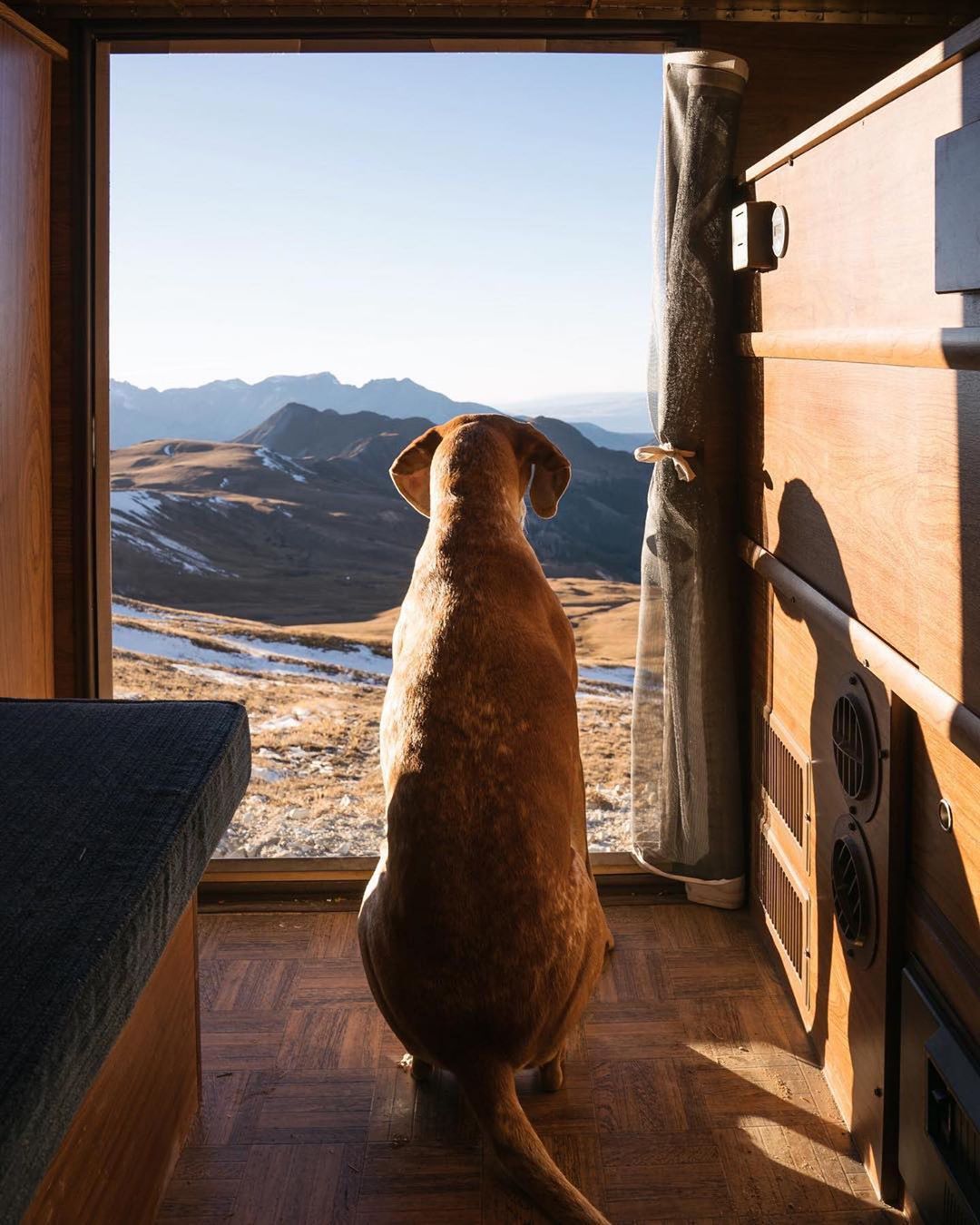 Ultimate Wanderpup Adventures Photos