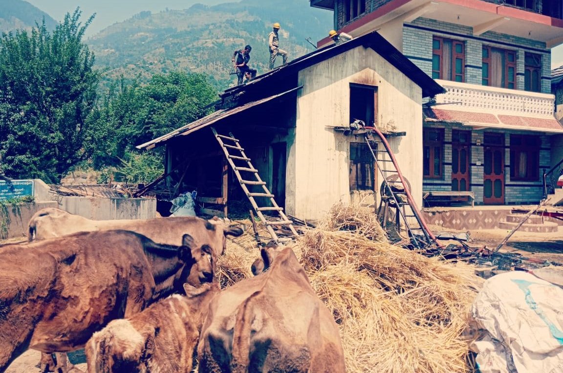 Fire Broke Out In A Cowshed In Mohal Himachal Pradesh
