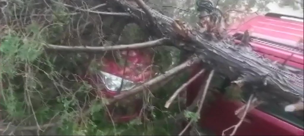 Tree Fell On Unoccupied Cars Due To A Storm In Uttarakhand