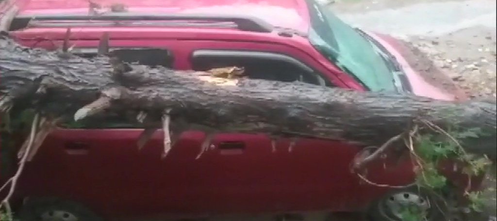 Tree Fell On Unoccupied Cars Due To A Storm In Uttarakhand