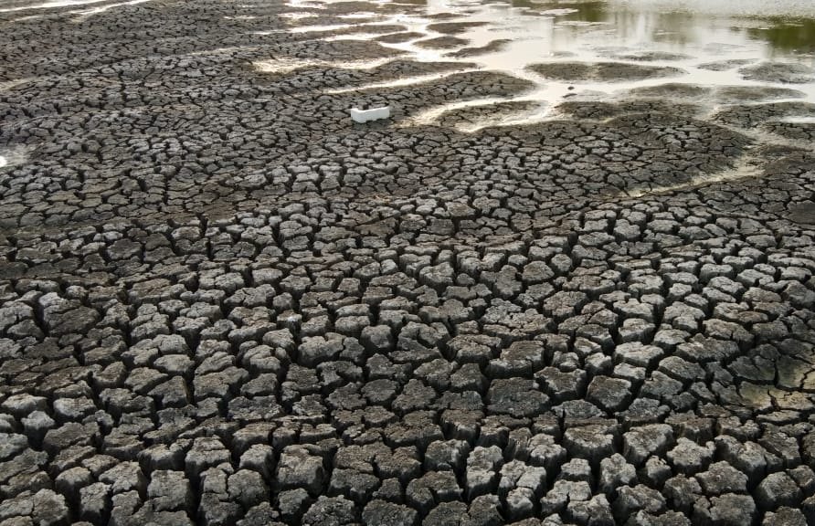 Water Level In Porur Lake Decreasing Drastically