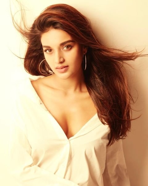 Actress Nidhi Agerwal Sizzling hot Photos