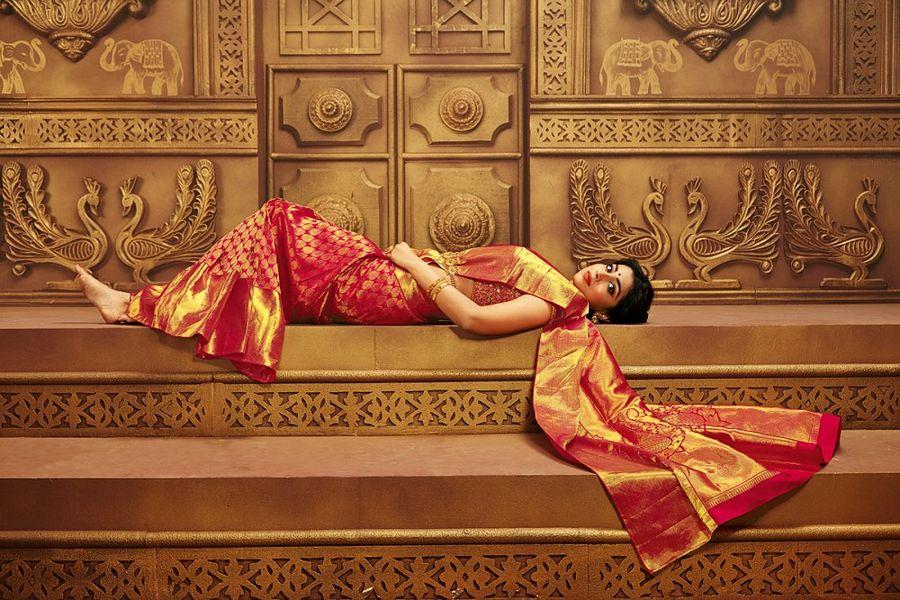 Actress Shriya Saran Latest Saree's Photoshoot