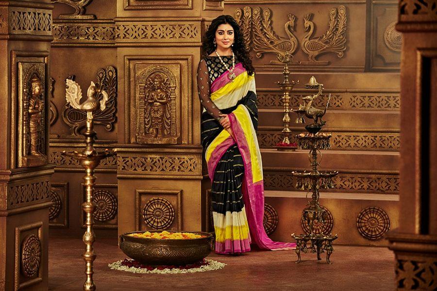 Actress Shriya Saran Latest Saree's Photoshoot