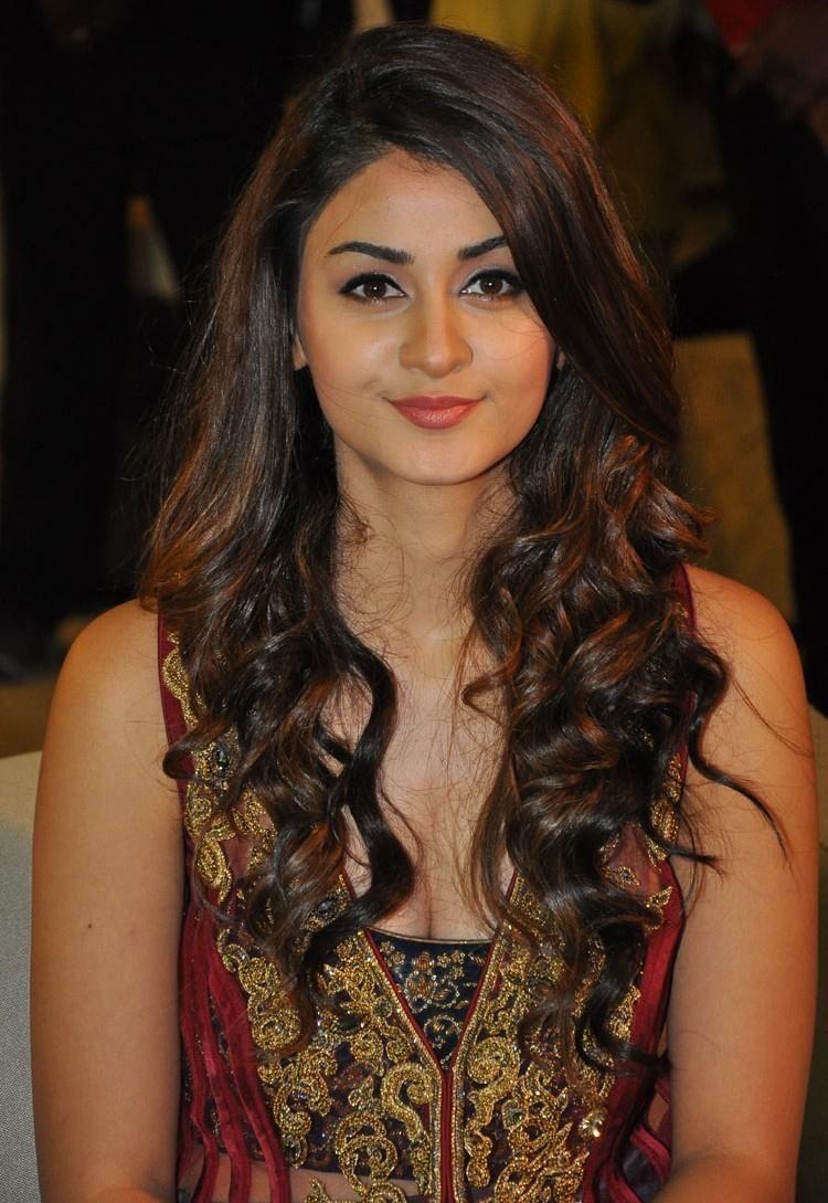 Aditi Arya Stills At ISM Movie Audio Launch