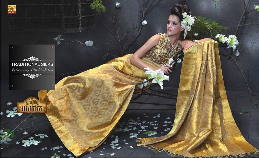 Film Actresses in Traditional Silk Bridal Saree Photos