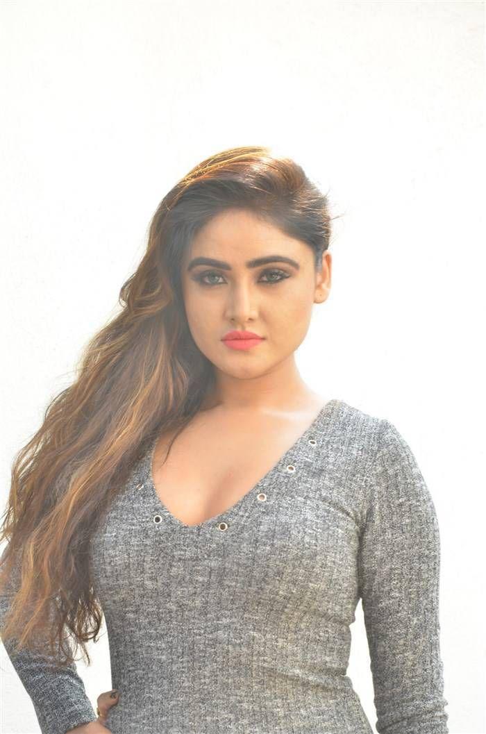 Sony Charishta Stills At Chennai to Bangkok Movie Launch
