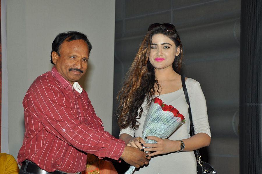 Evaro Tanevaro Movie Audio Launch Photos