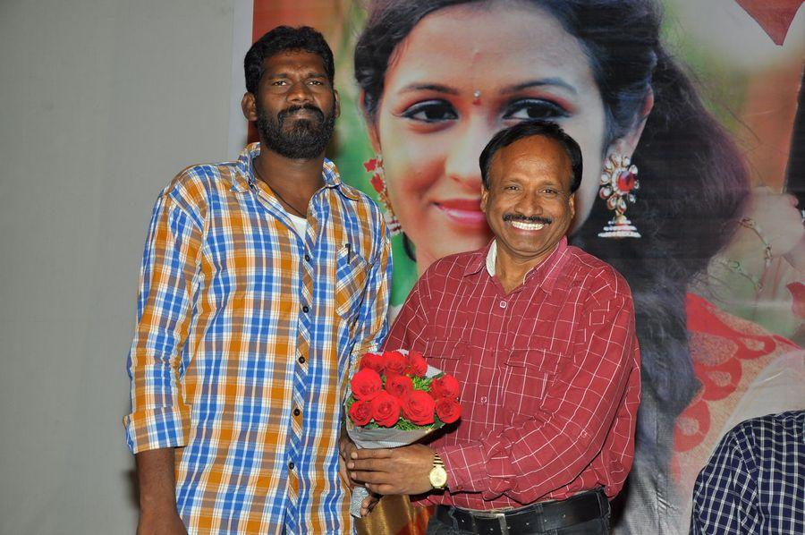Evaro Tanevaro Movie Audio Launch Photos