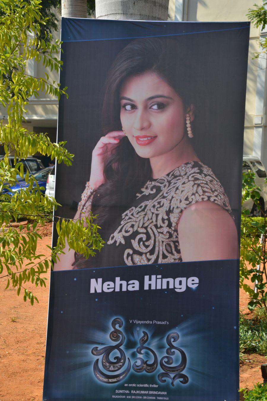 Srivalli Movie Trailer Launch Stills