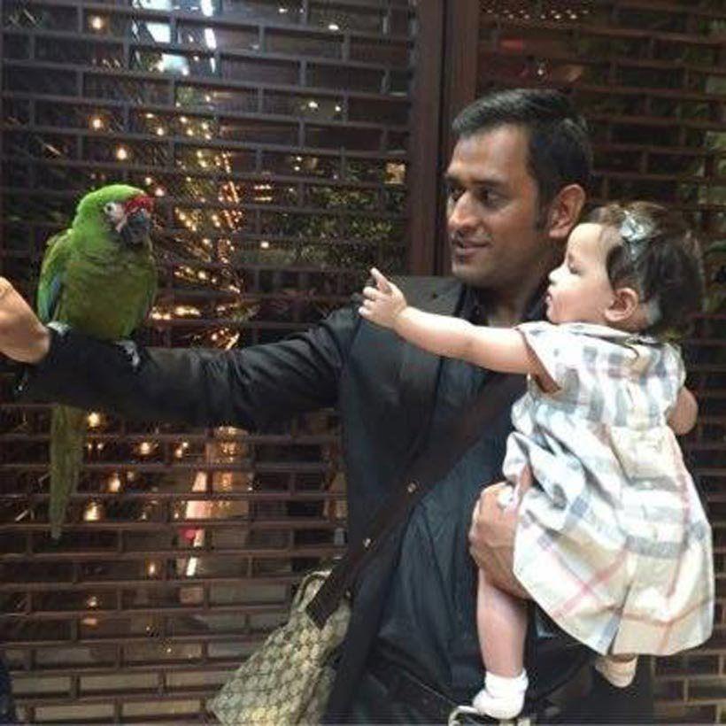 Adorable Pictures of Ziva with daddy Dhoni