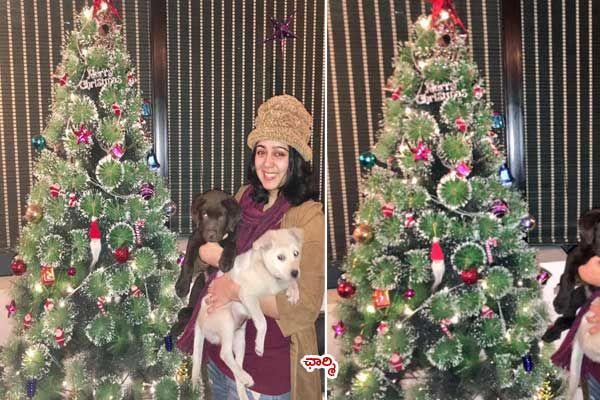 Celebrities Celebrate Christmas 2016 Photos