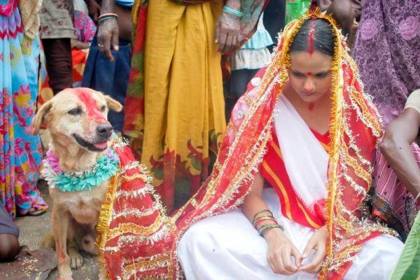 It Happens Only In India Viral Photos