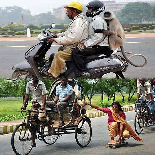 It Happens Only In India Viral Photos