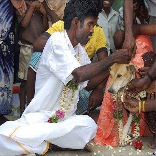 It Happens Only In India Viral Photos