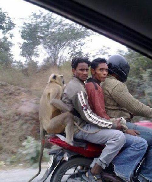 It Happens Only In India Viral Photos