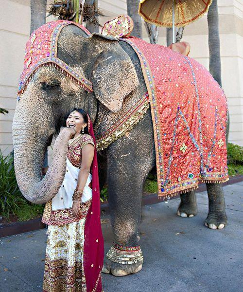 It Happens Only In India Viral Photos