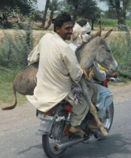 It Happens Only In India Viral Photos