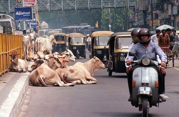 It Happens Only In India Viral Photos