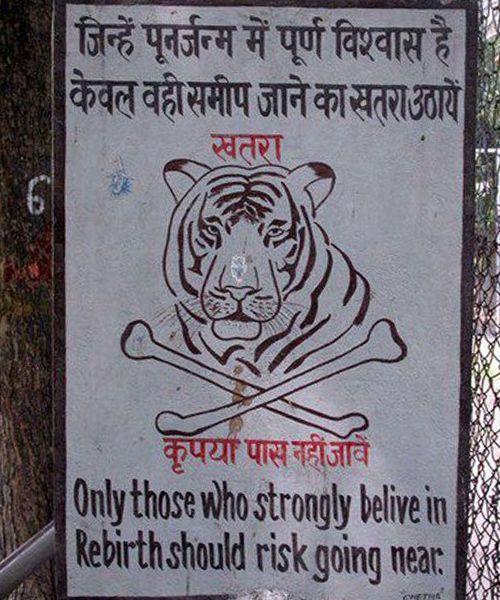 It Happens Only In India Viral Photos
