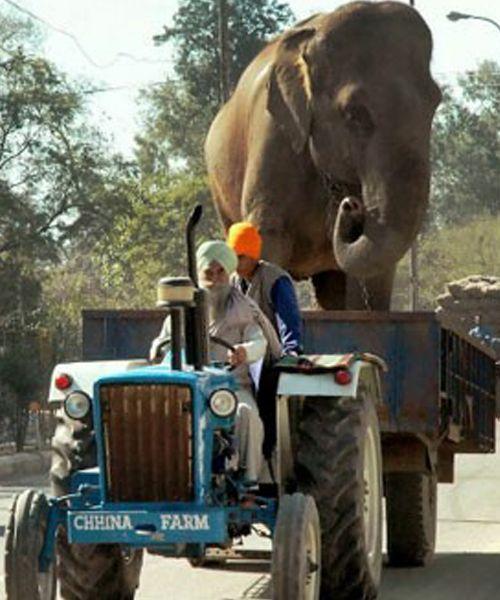 It Happens Only In India Viral Photos